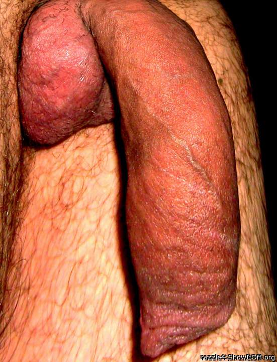 Adult image from razzle4