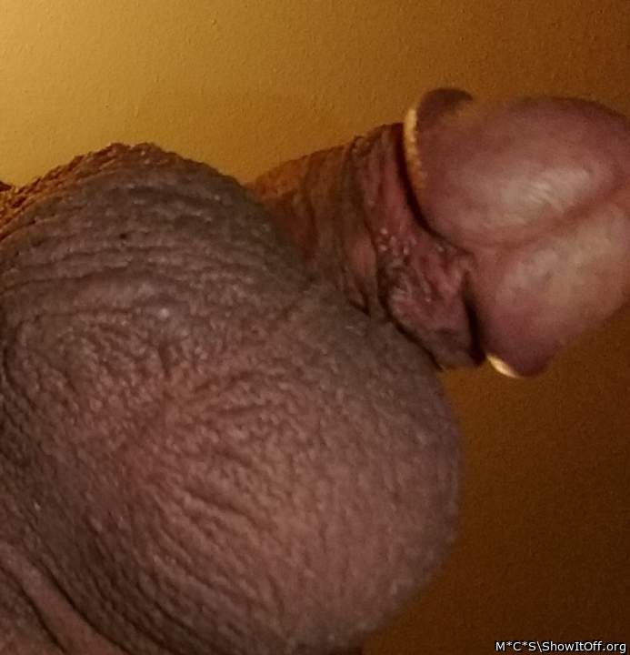Adult image from M*C*S