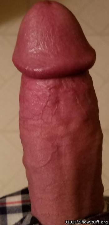Adult image from J1031