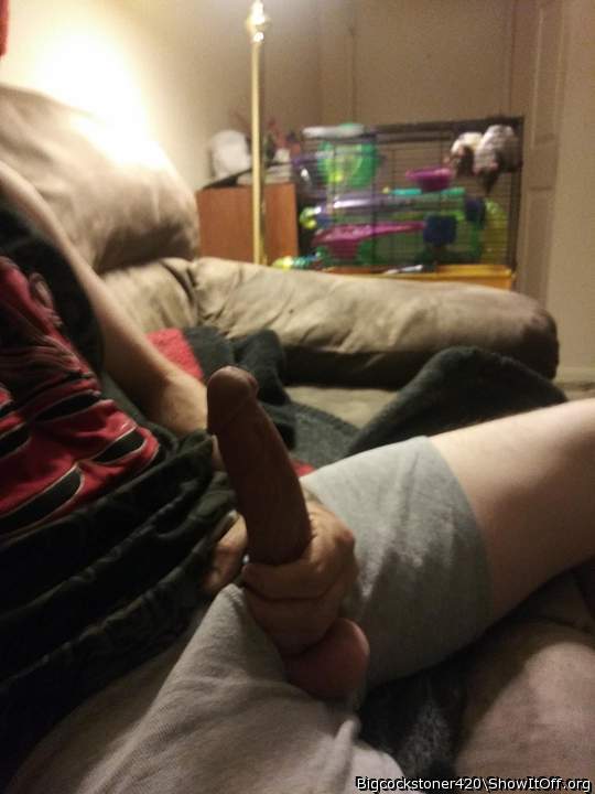 Adult image from Bigcockstoner420
