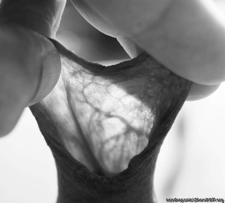 Adult image from neednopants