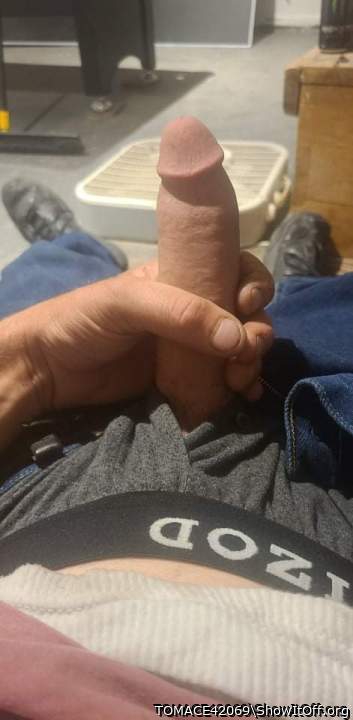Adult image from TOMACE42069