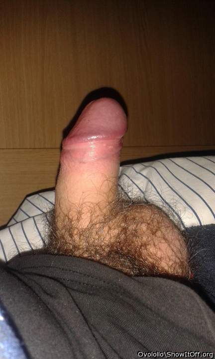 Adult image from Ovolollo