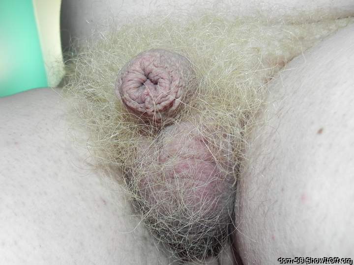 Adult image from dom-58