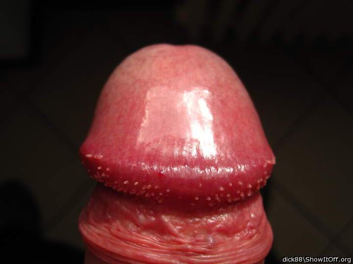 Adult image from Dick88