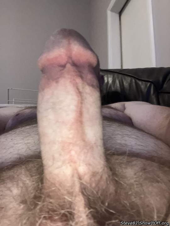 Adult image from Steve82