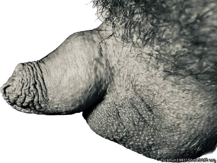 Adult image from DickFun1981