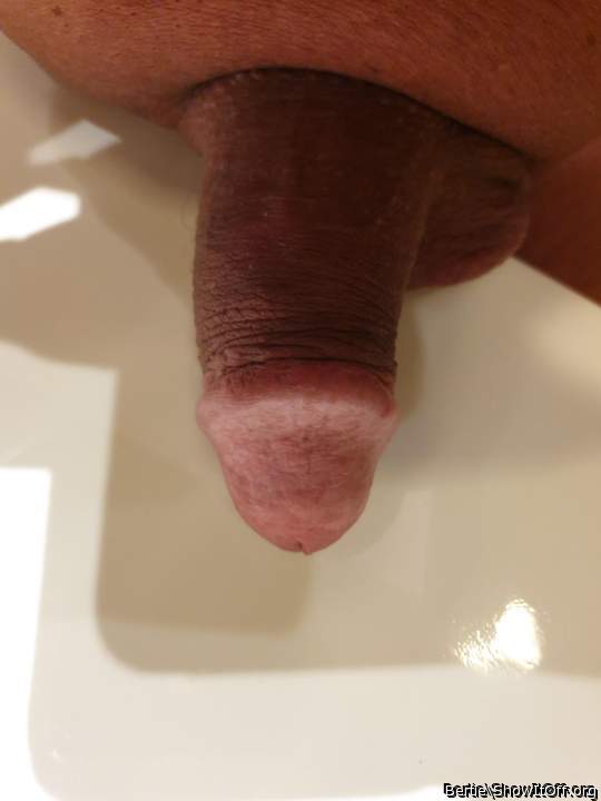 Adult image from Bertie