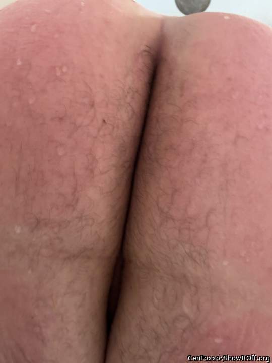 Adult image from CenFoxxo