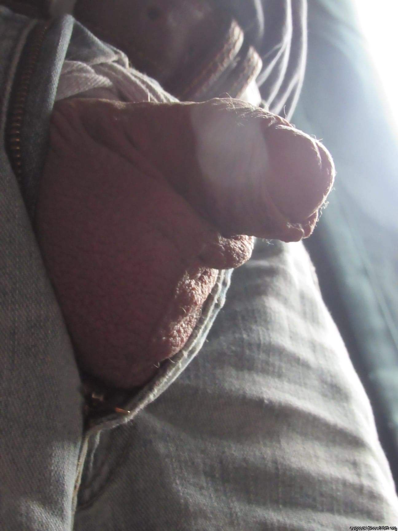 Adult image from avgcock