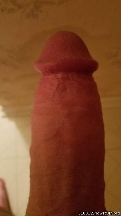 Adult image from J1031