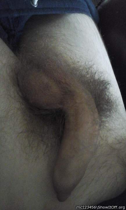 Nice dick ! I like your pubes !