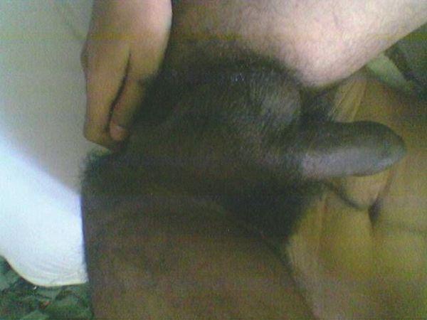 Adult image from nicedices