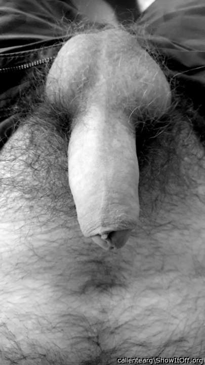 Adult image from calientearg