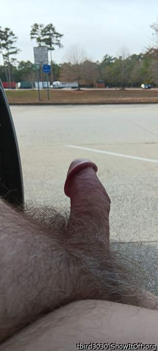 Adult image from tbird3030