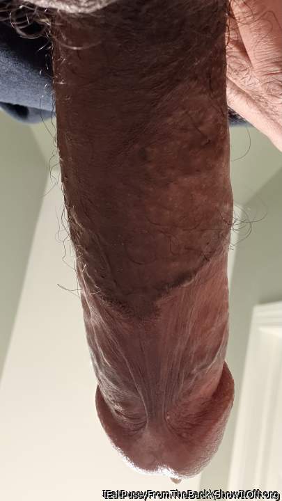 Adult image from IEatPussyFromTheBack