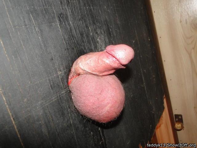 Adult image from teddyk13