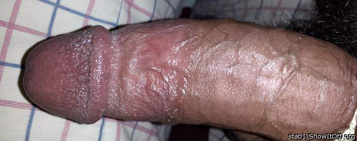 Adult image from stab1