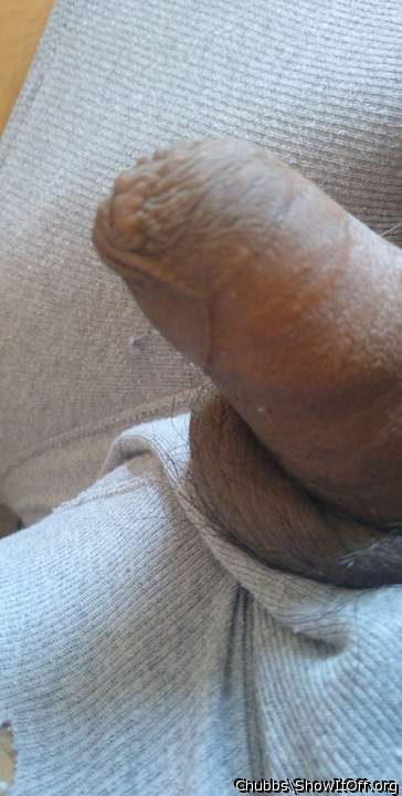 Adult image from Chubbs