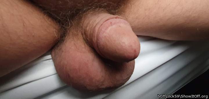 Adult image from Stiffcock59