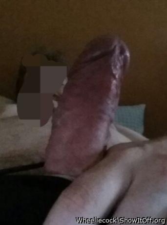 Adult image from Wheeliecock