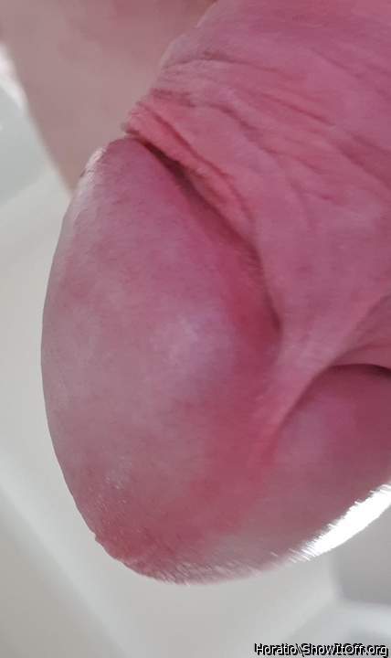 Adult image from Horatio