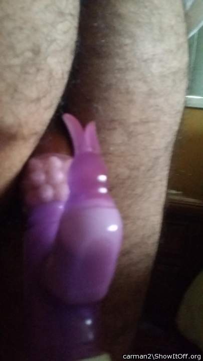 Adult image from carman2