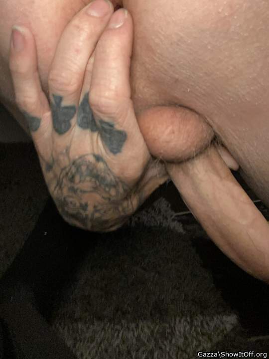 Adult image from Gazza