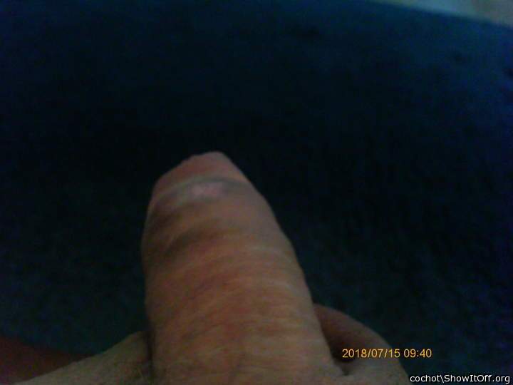Adult image from cochot