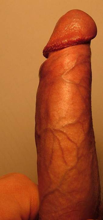 Adult image from vtbartje