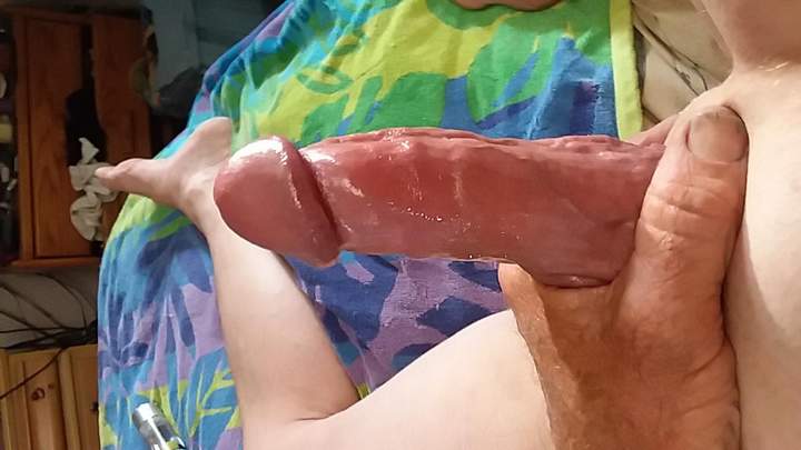 Adult image from fish4free