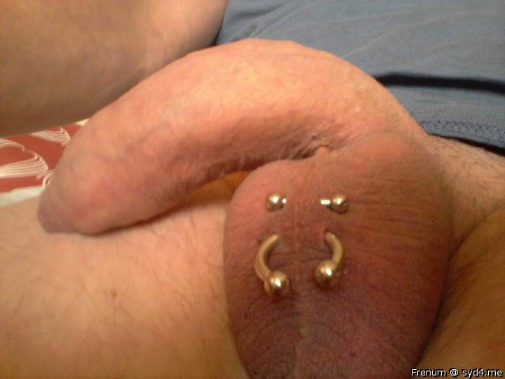 Adult image from Frenum
