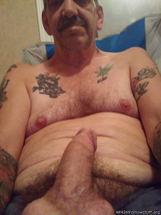 Adult image from Alf4269