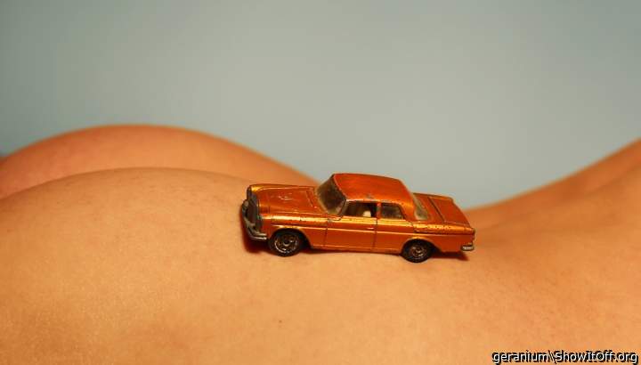 Adult image from geranium