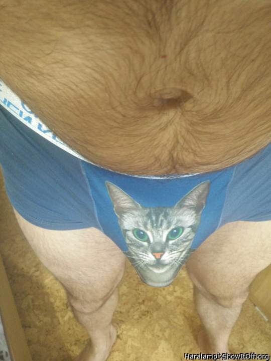 Adult image from Haralampi