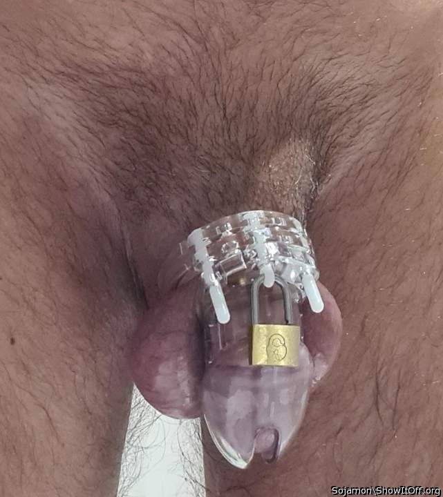 Adult image from Sojamon