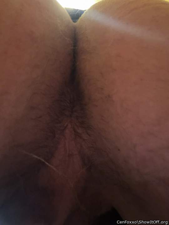 Adult image from CenFoxxo