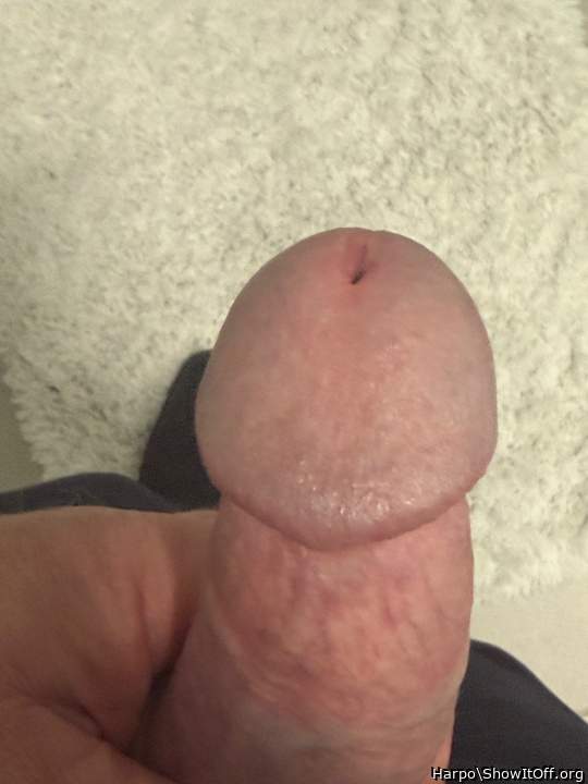 Adult image from Harpo