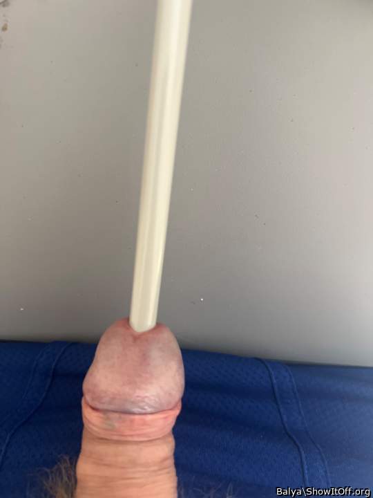 Adult image from Balya