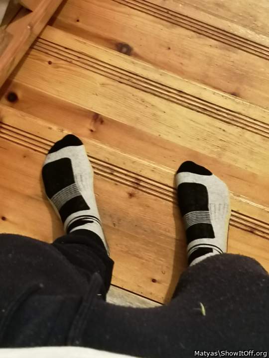 Adult image from Matyas