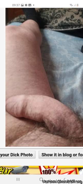Adult image from Martinm