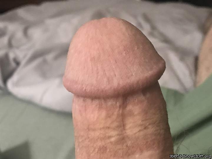 Adult image from Jblb16