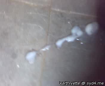 Adult image from karthivette