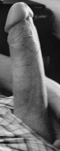 Adult image from Geryon
