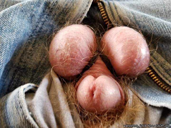 Adult image from vanishing_Dick