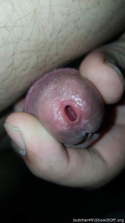 Adult image from butcher49