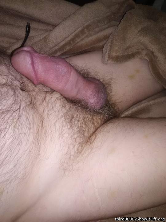 Adult image from tbird3030