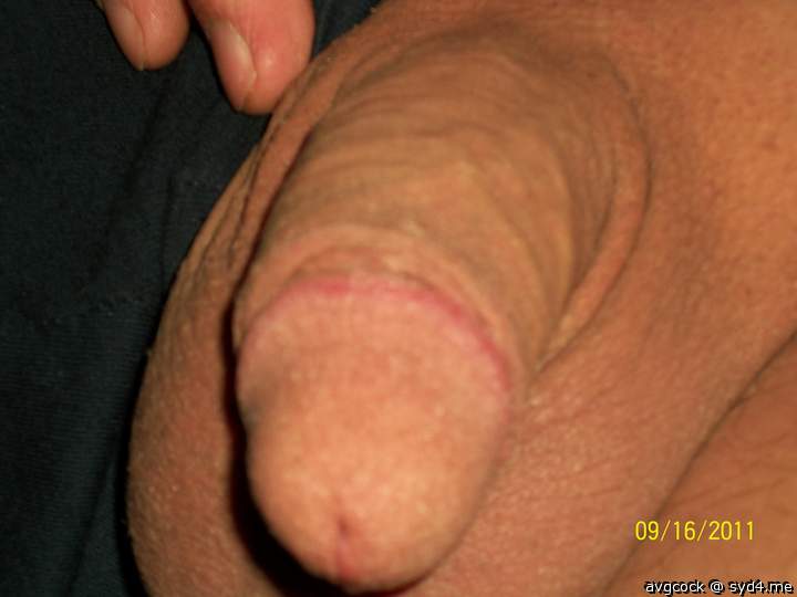 Adult image from avgcock