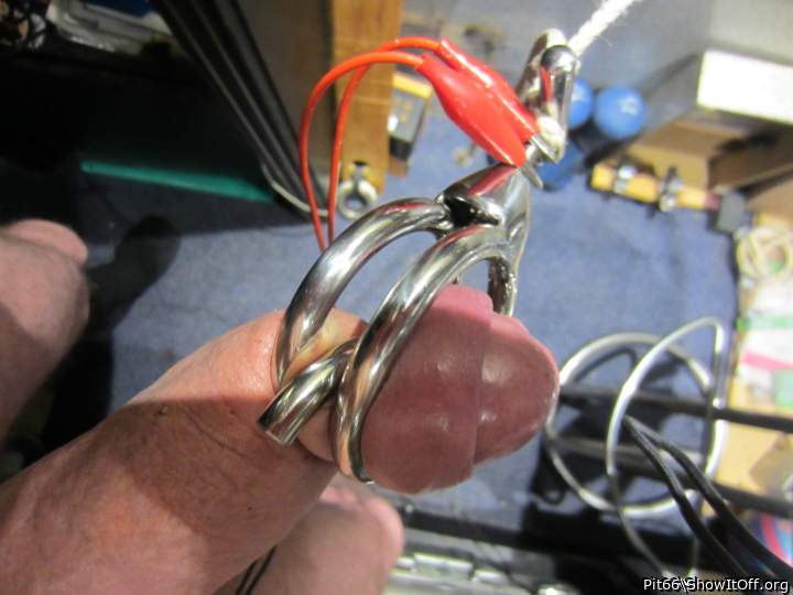 Adult image from Pit66