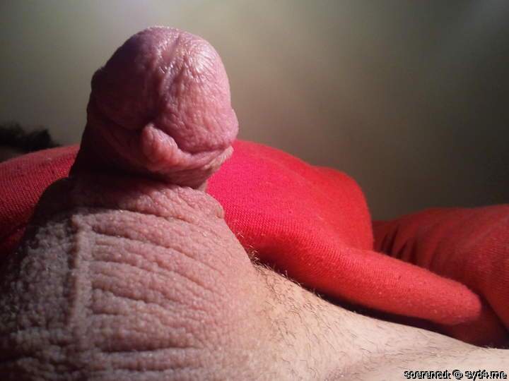 Adult image from Soerencut